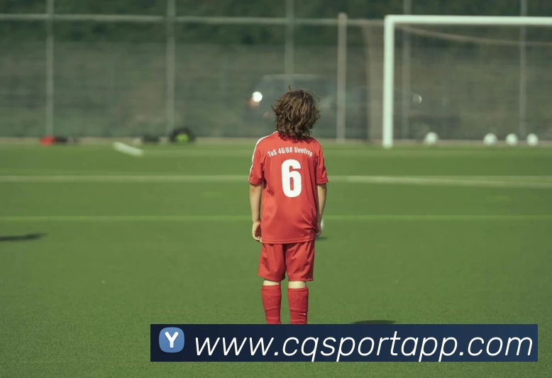 出奇体育APP平台生态图