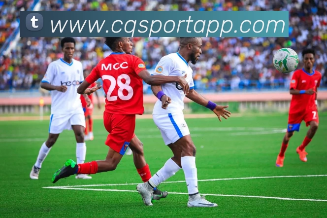 出奇体育APPAPP 封面图